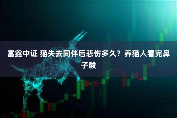 富鑫中证 猫失去同伴后悲伤多久？养猫人看完鼻子酸